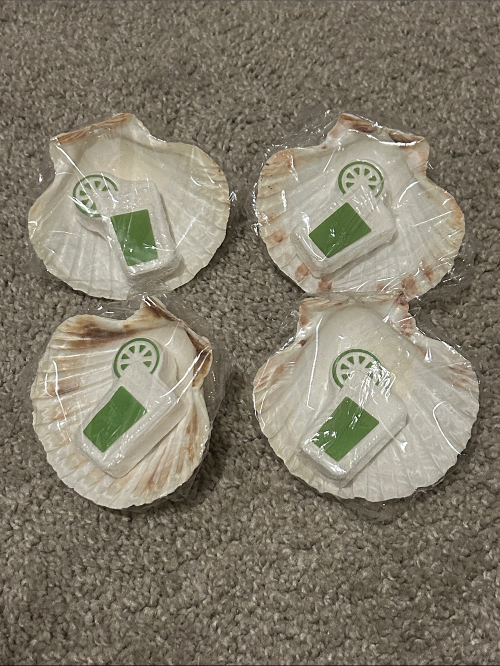 Sea shells with bath bombs